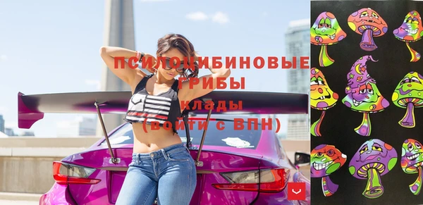 ешки Арсеньев