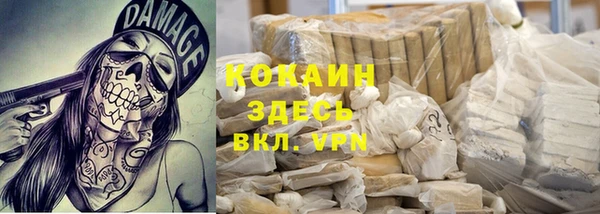 ешки Арсеньев