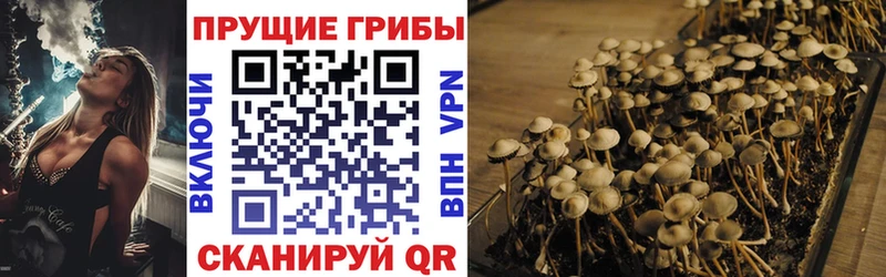Галлюциногенные грибы мухоморы  Купить  Сычёвка 